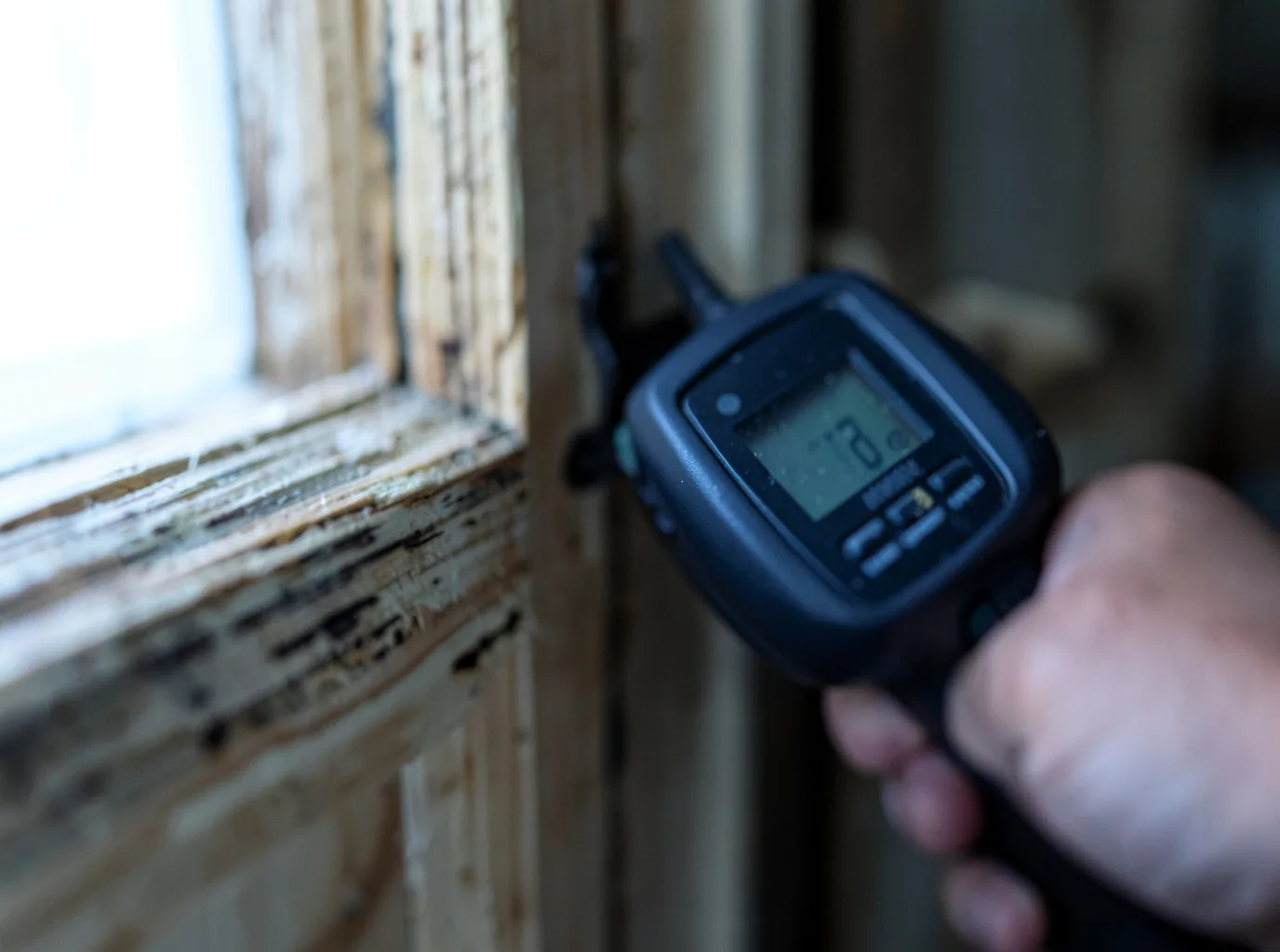 Moisture Inspection And Documentation in Nazareth, PA